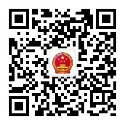 政府辦